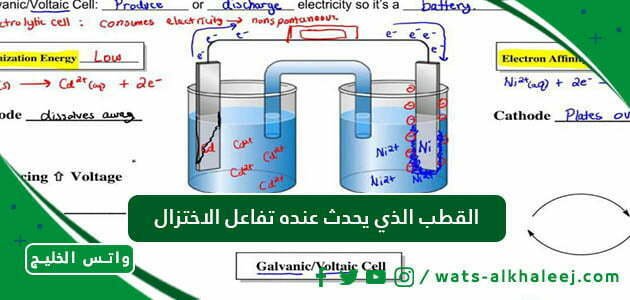 القطب الذي يحدث عنده تفاعل الاختزال