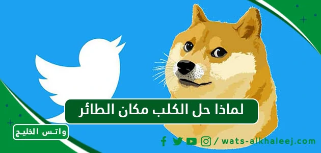 لماذا حل الكلب مكان الطائر