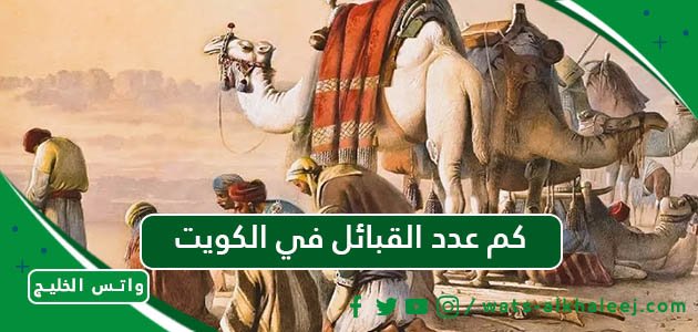 كم عدد القبائل في الكويت